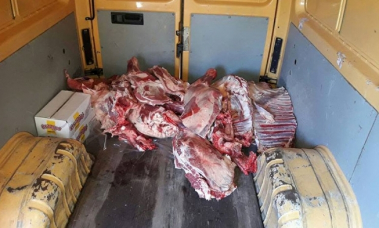 Decomisan más de 200 kilos de carne vacuna que llegó al distrito en malas condiciones