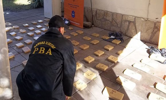 Desaparecieron 540 kilos de marihuana: la policía asegura que se la comieron las ratas