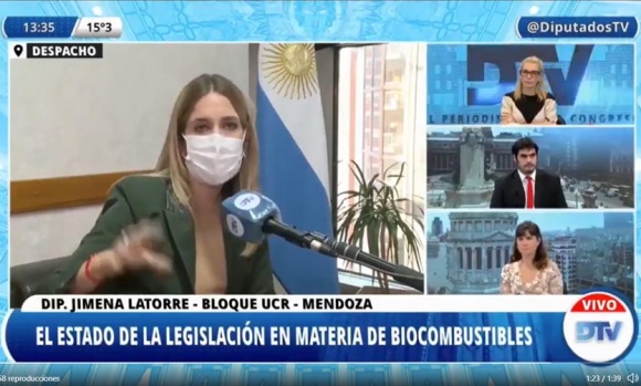 Diputados debaten el proyecto de Ley de Biocombustibles