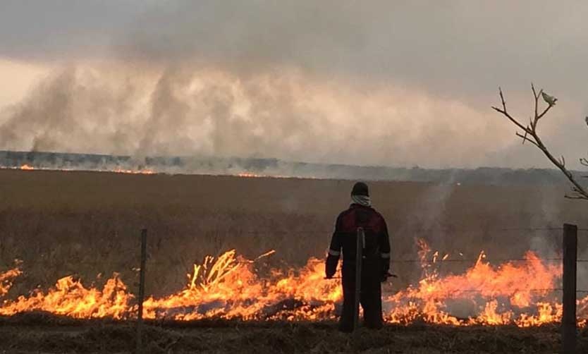 Bomberos pilarenses en Corrientes: "De acá no nos vamos hasta que no se termine el incendio"