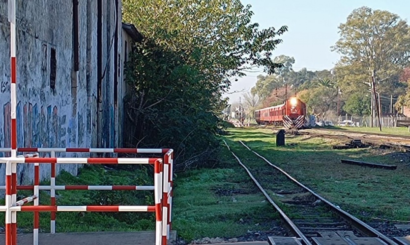 Una pareja de abuelos falleció tras ser atropellada por el tren