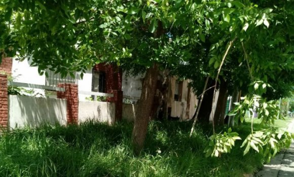 Reclaman limpieza de una vivienda que permanece abandonada