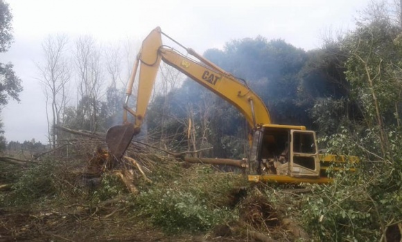 Polémica por las tareas de desmonte que la Comuna realiza en el Pellegrini