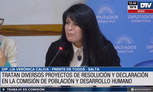 La Comisión de Población y Desarrollo Humano aprobó una batería de proyectos